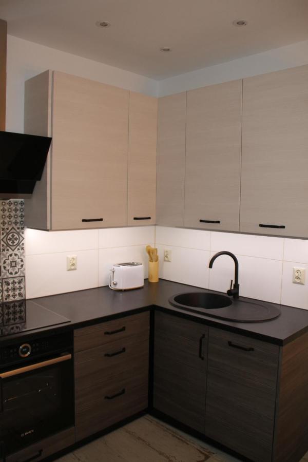 斯维诺乌伊希切Apartament "Pod Dwiema Sowami"公寓 外观 照片